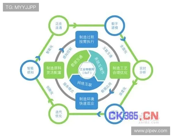 探索西安羽毛球队的转型之路与深度发展策略分析 探索西安羽毛球队的转型之路与深度发展策略分析