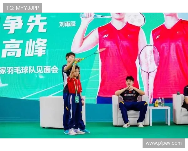 南京羽毛球队意识对比深度解析与发展潜力探讨