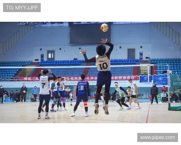 全国锦标赛分析：杭州排球队在比赛中的战术意识与团队配合表现探讨